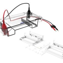 Agarose Horizontal Electrophoresis Tank_GEP-HH-SUB02