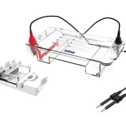 Horizontal Electrophoresis Cell GEP-HH-SUB01 | DNA Cepat
