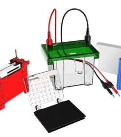 Mini Transfer Electrophoresis Tank_GEP-TH-ZY02