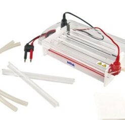 Cellulose Acetate Membrane Electrophoresis_GEP-ECAC-2
