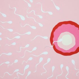 Alat Cek Gula Darah Akurat: 7 Rekomendasi Terbaik 2025 4 Banyak Selebriti Jalani Egg Freezing: 9 Fakta dan Panduan 2024