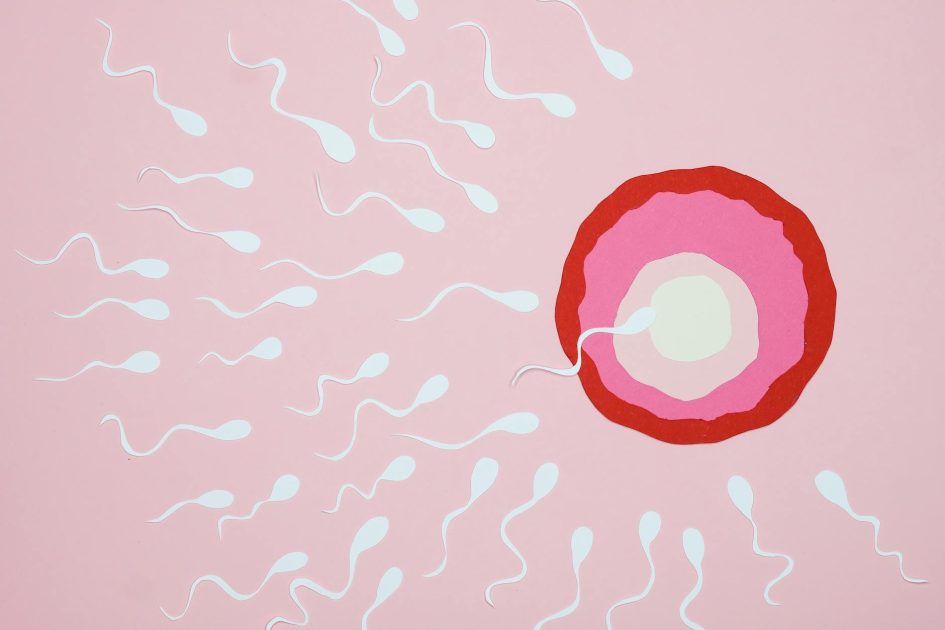 Banyak Selebriti Jalani Egg Freezing: 9 Fakta dan Panduan 2024 1 Illustration of sperm reaching an egg with a pink background, symbolizing fertilization.