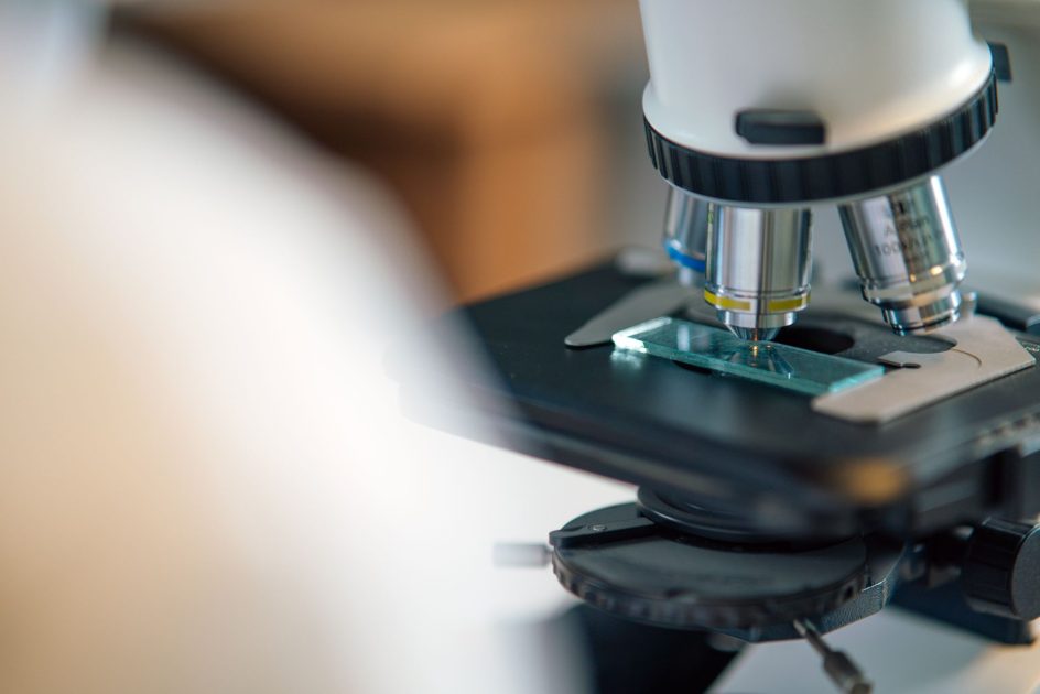 Accurion EP4 Imaging Ellipsometer: Panduan Lengkap 2024 1 Detailed view of microscope slide setup, essential for biological research.