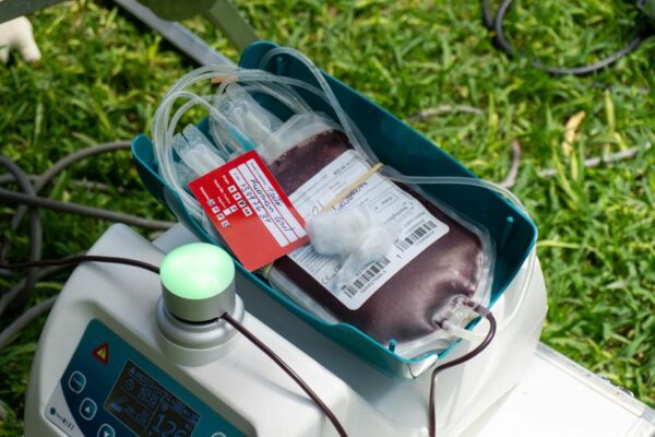 Close-up of blood donation equipment with a blood bag on a grassy surface in Piura, Peru.
