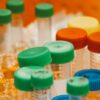 Close-up of colorful laboratory sample bottles with caps, showcasing scientific equipment.