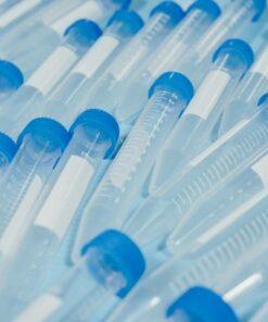 Close-up of blue-capped laboratory test tubes arranged in a pattern.
