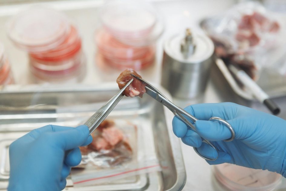 Opal Fluorophore Reagent Packs: 5 Fitur Unggulan 1 Scientist in laboratory dissecting meat sample for experimentation and study.