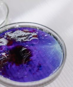 Purple liquid with bubbles in a petri dish, showcasing a scientific experiment.