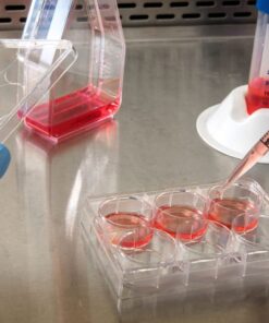 Gloved hand working with cell culture samples in a lab setting.