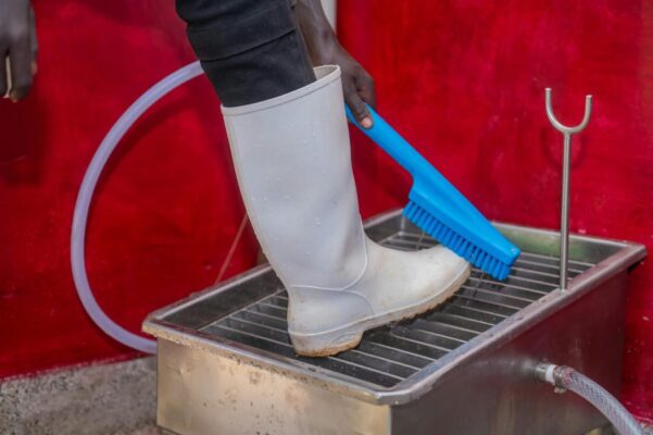 Person scrubbing boots with brush in a stainless steel wash basin in Eldoret, Kenya