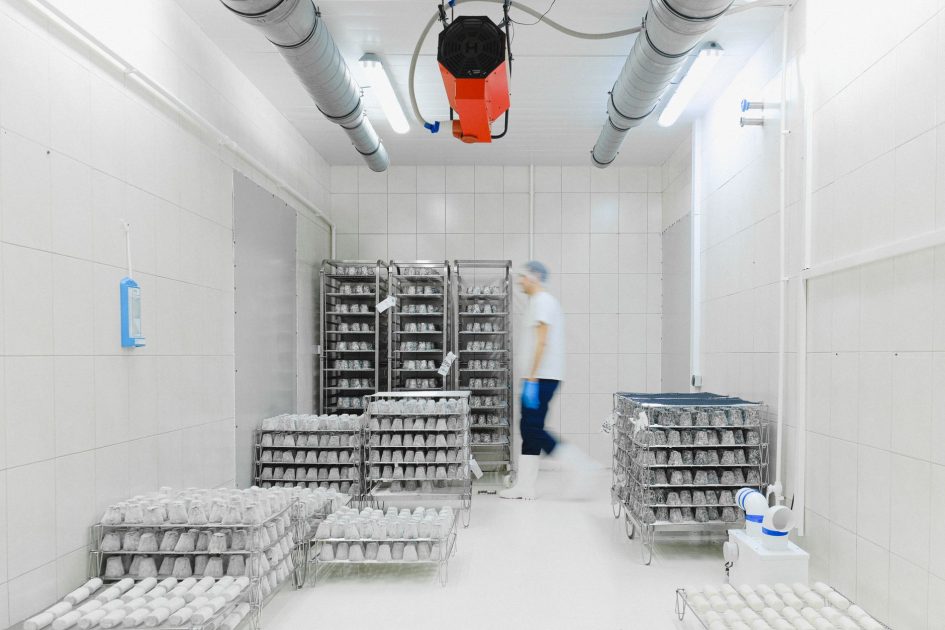 Cooled and Hot Chiller: Panduan Lengkap 2024 1 Blurred worker in a cold storage facility with shelves of perishable goods, emphasizing motion and efficiency.