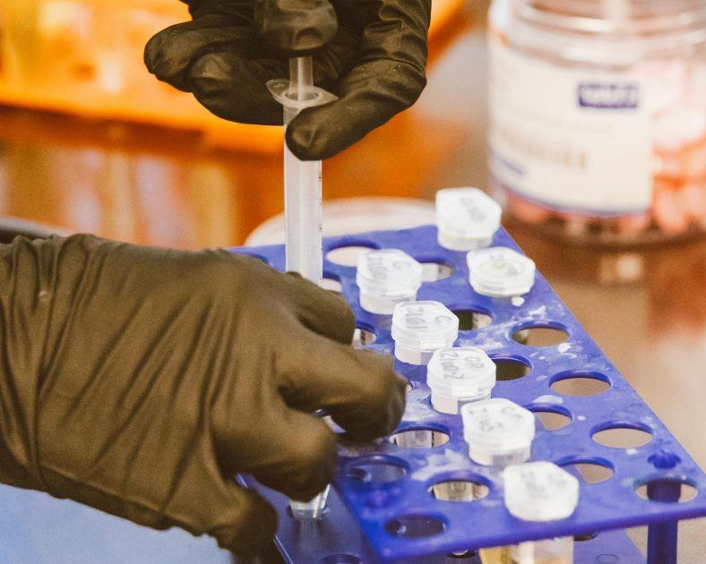 microplate 96-well high bind - Jess Loiterton Close-up of gloved hands using syringe for precise work in a lab setting.