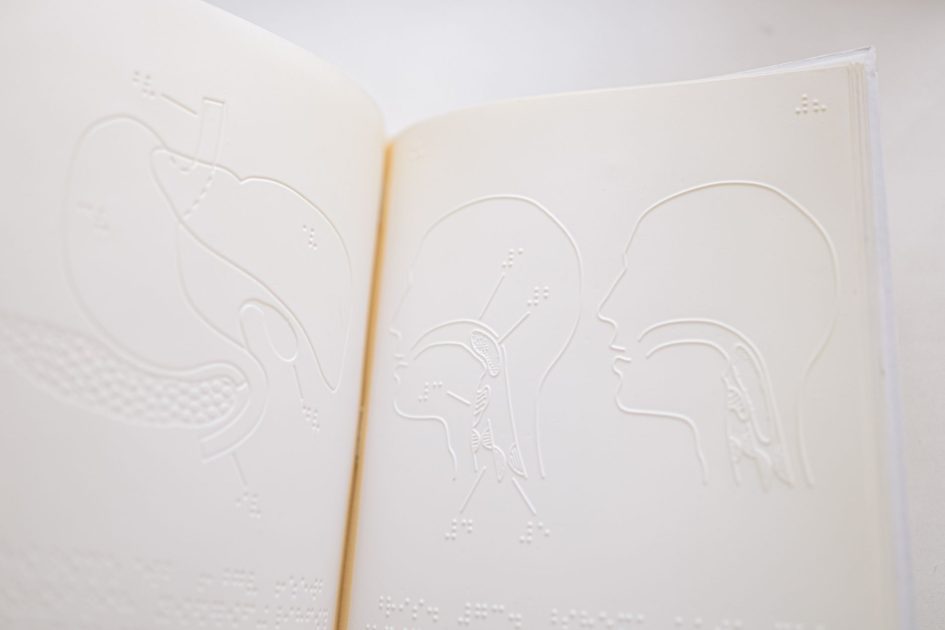 Ngeri Pankreas Wanita Umur 24: 9 Fakta Penting & Pencegahan 1 Detailed close-up of embossed anatomy diagrams on an open braille book page.