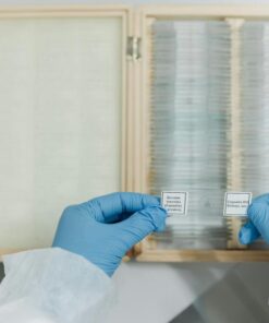Close-up of scientist handling microscope slides in laboratory setting.