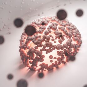 Selain Picu Kanker Serviks, Infeksi HPV: 5 Jenis Kanker Berbahaya