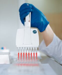 Close-up of a lab technician using a multichannel pipette for testing in a laboratory.