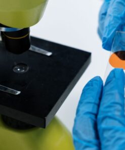Close-up of a scientist handling a microscope slide with blue latex gloves, preparing for analysis.
