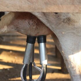 Pemprov Kaltim Berkomitmen Menuntaskan Penyediaan Alkes: Panduan Lengkap 3 Lactoscan Analyzer: Akurasi Milk Testing 60 Detik