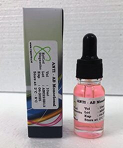 REIGED DIAGNOSTICS Anti-AB Monoclonal