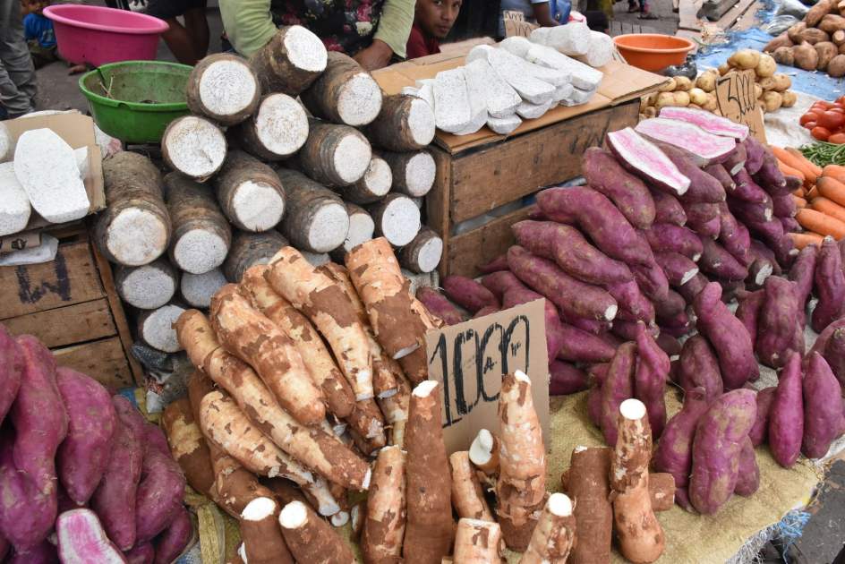 Budidaya Ube Lebih Sulit Ketimbang: 7 Alasan & Solusi Praktis 1 Fresh yams and cassava on display at an outdoor market stall, showcasing a variety of root vegetables.