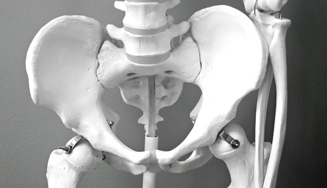 L4 L5 hingga L5 S1: Panduan Lengkap Bagian Tulang Belakang Rawan Saraf Kejepit 1 Close-up of a medical model of a human pelvic skeleton, ideal for healthcare and anatomy studies.