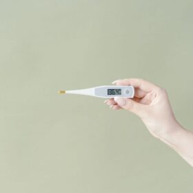 Kabut Asap Mencekik Palembang: 6.000+ Kasus ISPA Panduan Lengkap 4 Kasus Flu Singapura Tertinggi Sejak 2024: Panduan Lengkap Pencegahan