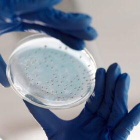 Setup Tissue Culture CO₂ Chamber: 5 Parameter Kritis & Protokol 3 Tissue Culture Chamber CO2: Panduan Lengkap Setup Biotech