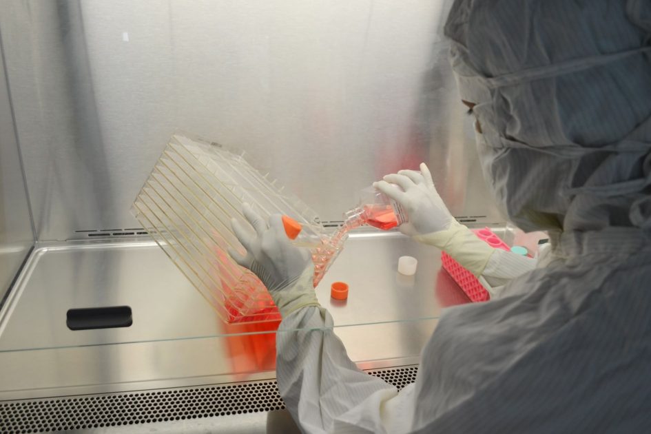 Setup Tissue Culture CO₂ Chamber: 5 Parameter Kritis & Protokol 1 A scientist in full protective gear working in a laboratory on research with cell cultures.